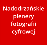 Nadodrzańskie plenery fotografii cyfrowej