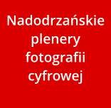 Nadodrzańskie plenery fotografii cyfrowej